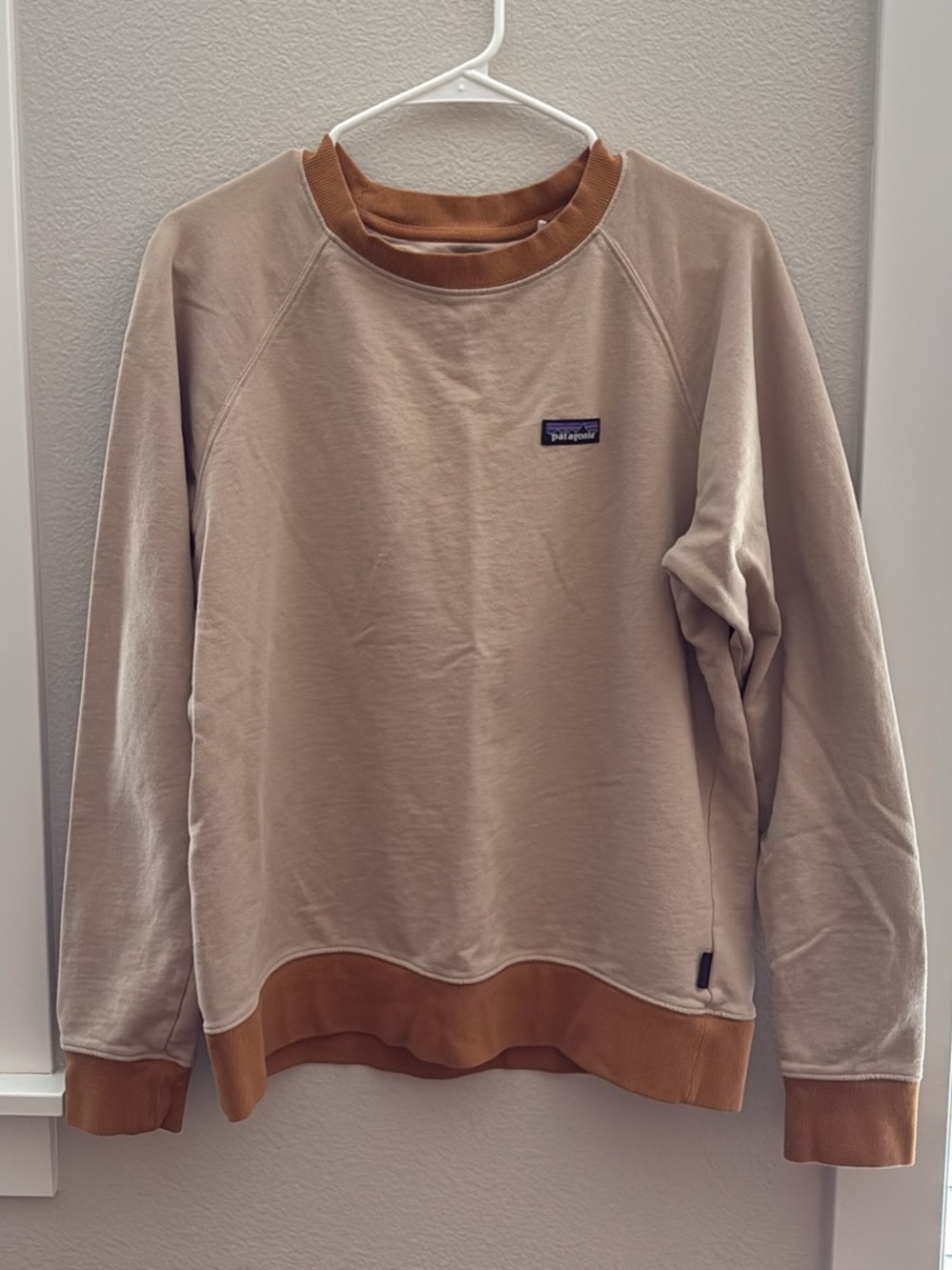 Patagonia Men’s Tan Crewneck Sweatshirt with Brown Trim